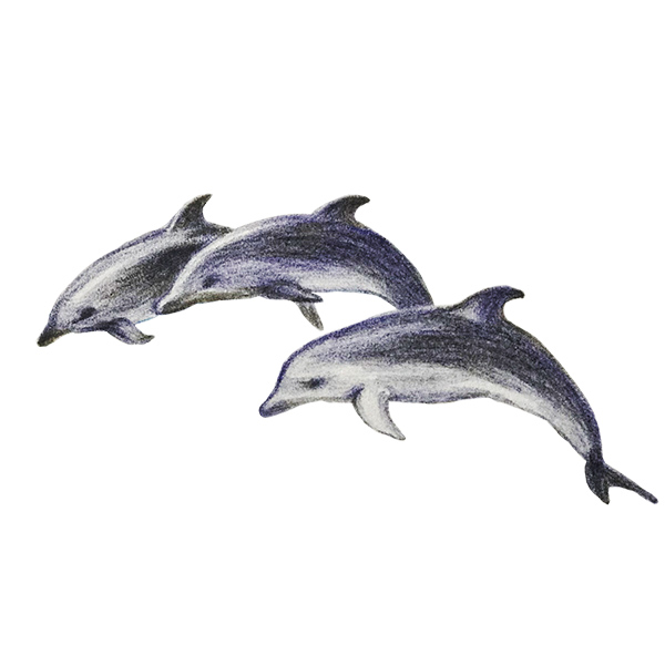 ���b���D